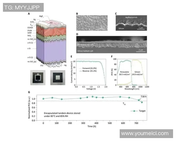 实时新闻南京攀岩队速度对比分析探讨团队表现与训练策略的影响因素