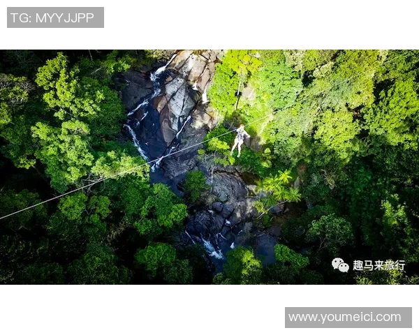 实时新闻深圳极限运动队包夹现象解析与热点趋势探讨